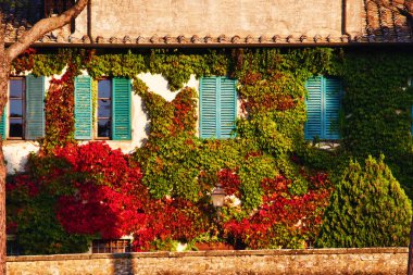 Fattoria di Brolio in autunno, Valdichiana, Toscana