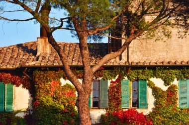 Fattoria di Brolio in autunno, Valdichiana, Toscana
