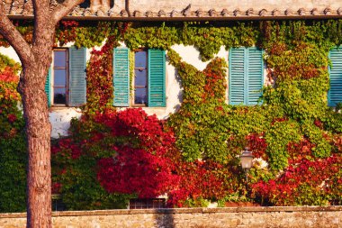 Fattoria di Brolio in autunno, Valdichiana, Toscana