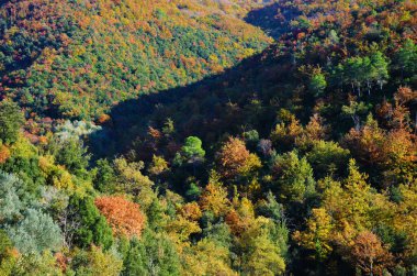 Yeşillik otunnale, Toscana, İtalya