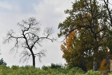 Toscana 'da Gionata nuvolosa
