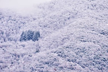 Neve, neve, tanta asla!!!