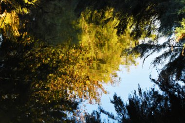 Tüfek alle saline di Cervia