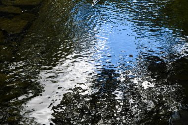 Rifesso in una posza d 'acqua, Toscana, Italia