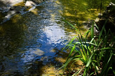 Magico riflesso in una pozza d'acqua