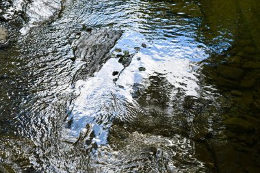 Magico riflesso in una pozza d'acqua