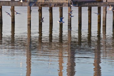 Riflessi a Passignano sul Trasimeno