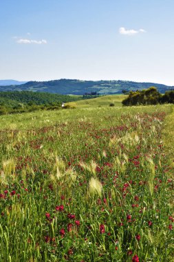 Toskana kırsalında, güzel ve eşsiz.