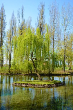 Clitunno Springs, Umbria, İtalya