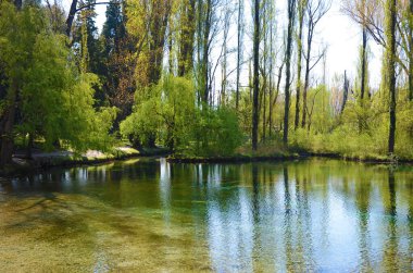 Clitunno Springs, Umbria, İtalya