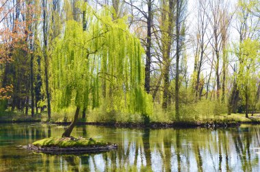 Clitunno Springs, Umbria, İtalya