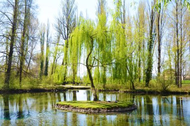 Clitunno Springs, Umbria, İtalya
