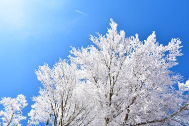 Kış beyazlığı, Monte Amiata, Toskana