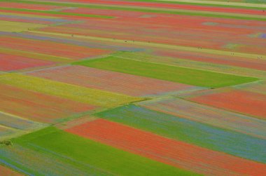 Castelluccio di Norcia Ovası