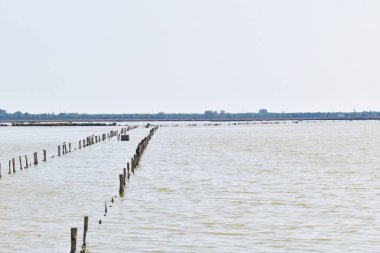 Barışın hüküm sürdüğü Comacchio vadileri...