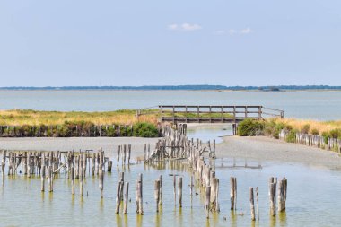 Barışın hüküm sürdüğü Comacchio vadileri...