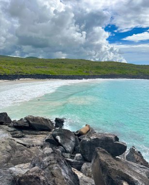 Güzel denizleri ve gökyüzü olan güzel plaj manzaraları