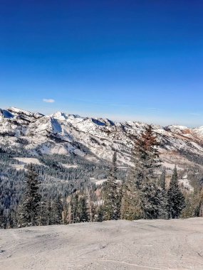 Güney Amerika 'da kış manzarası
