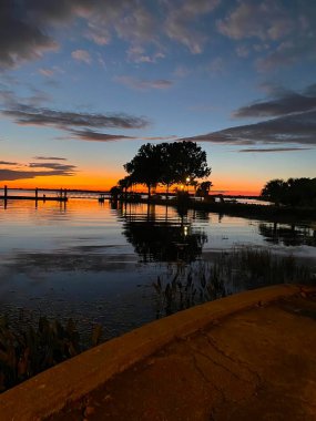 farklı güzel çiçekler, her renkten farklı türler her şey için ve tablolar veya arka planlar için.