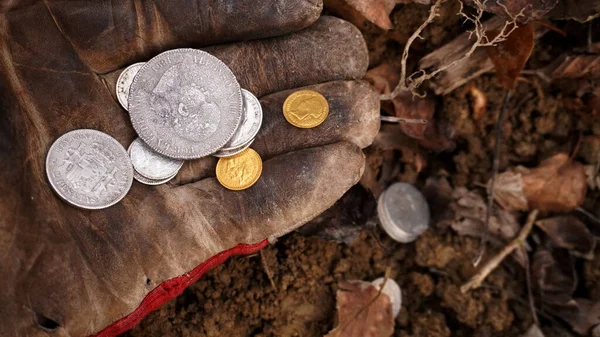 stock image          silver and gold coins lie on the gloved hand against the background of the leaves                      