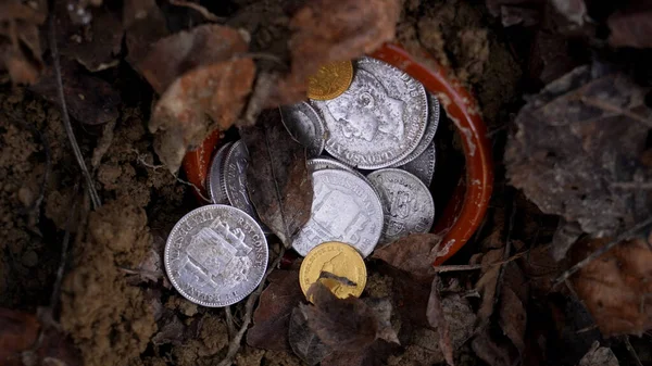 a treasure trove of ancient, gold and silver coins found in the forest