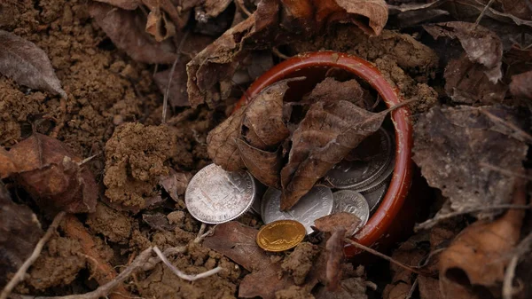 a treasure trove of ancient, gold and silver coins found in the forest