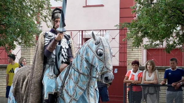 Рыцари Лошадях Ходят Улицам Города Средневековый Праздник Город Estella Испании — стоковое фото