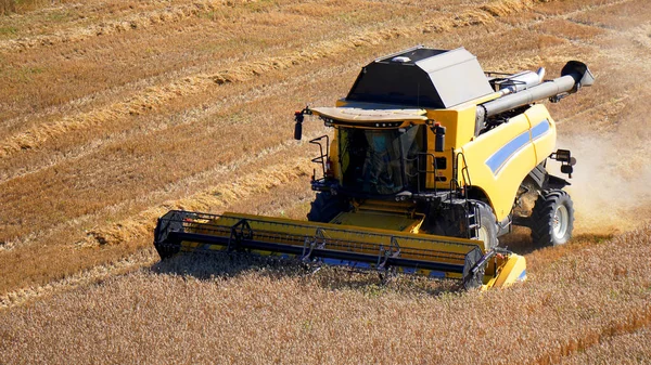 Hasatçı Tarlada Buğday Hasat Eder Yukarıdan Görünüm — Stok fotoğraf