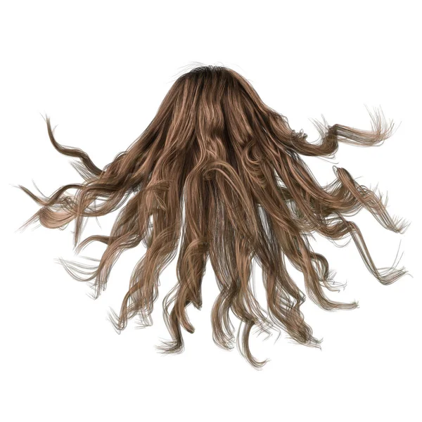 Cheveux Longs Ondulés Soufflés Par Vent Brun Sur Fond Blanc — Photo