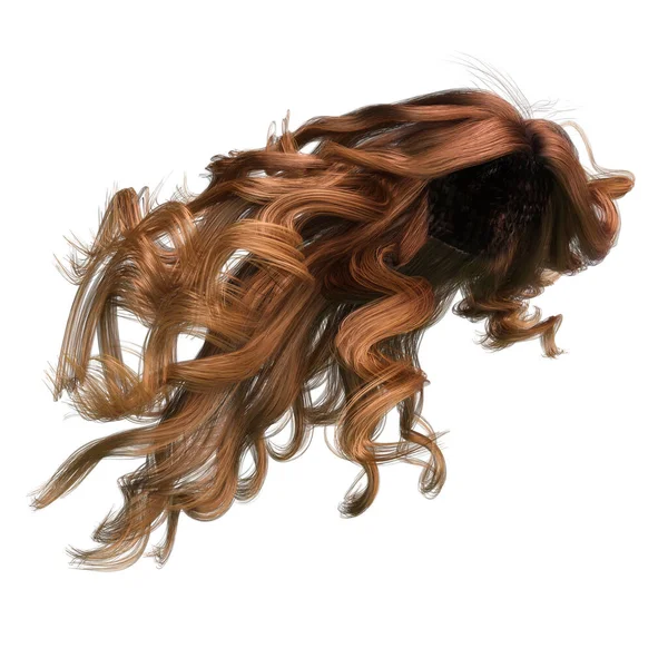Červené Větrem Foukané Dlouhé Vlnité Vlasy Izolovaném Bílém Pozadí Ilustrace — Stock fotografie