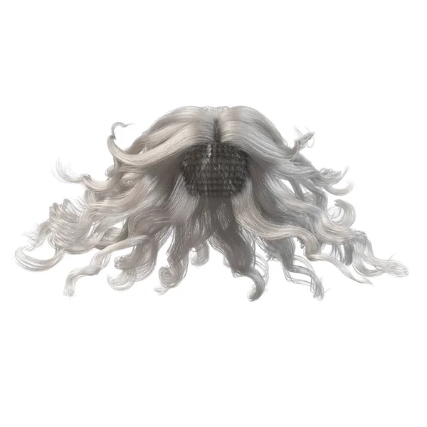 White Windblown Long Wavy Hair Isolated White Background Illustration Rendering — Stock Photo, Image