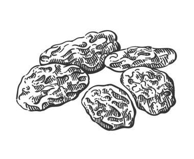 Şeffaf arkaplandaki kuru üzümlerin siyah beyaz temsili. Klasik stil