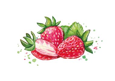 Beyaz arka planda izole edilmiş suluboya lekeli çileğin el çizimi. Suluboya çizimi.