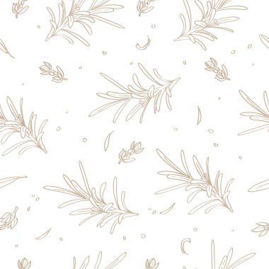 Vektör kusursuz desen. Biberiye ve kekik otları. Mutfak geçmişi. Mutfak dekorasyonu.