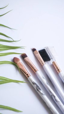 Set of make-up brushes. Set of clean black vector professional makeup concealer powder blush eye shadow eyebrow brush with white and black handles and makeup palette.