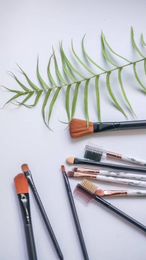 Set of make-up brushes. Set of clean black vector professional makeup concealer powder blush eye shadow eyebrow brush with white and black handles and makeup palette.