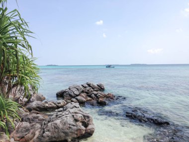 Beach and rock in the sea, Karimunjawa, Indonesia