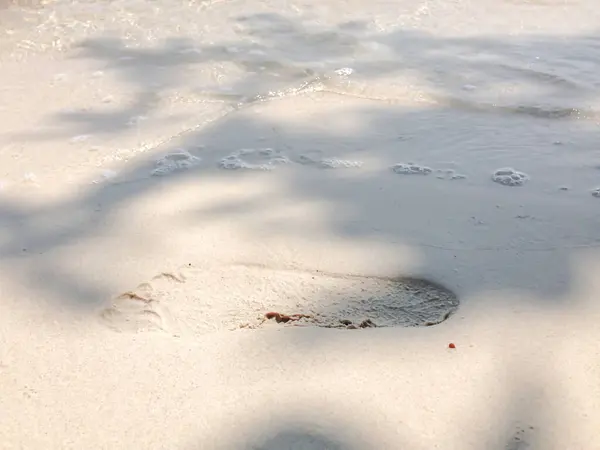 Kumsalda ağaçların gölgesinde ayak izleri var..