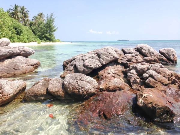 Strand Und Felsen Meer Karimunjawa Indonesien — Stockfoto
