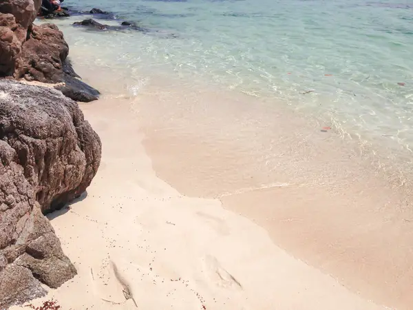 stock image Beach and rock in the sea, Karimunjawa, Indonesia