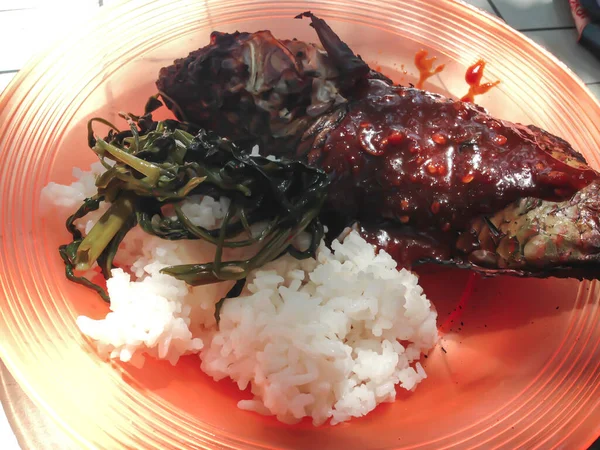 Seaweed Grilled Fish Rice Plate — Stockfoto