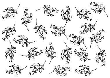 Set of tropical leaves, hand drawn. Vector illustration for your design