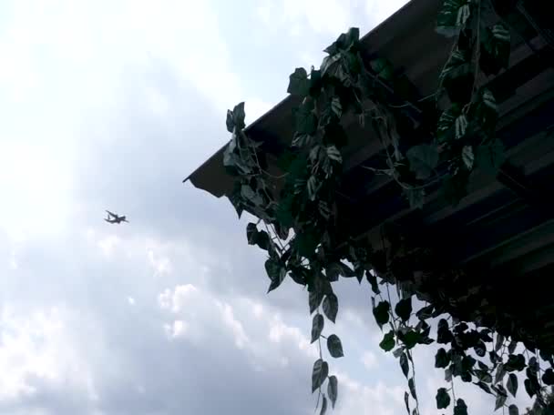 Plastikowe Winorośle Poruszające Się Wiatrem Dachu Samoloty Latają — Wideo stockowe