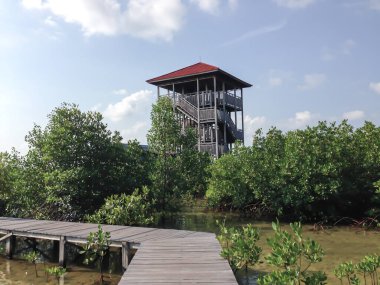 Mangrove forest with wooden walkway and blue sky in Karimunjawa, Indonesia.