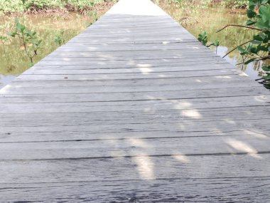 Wooden bridge in the mangrove forest with shadow of tree and blue sky.