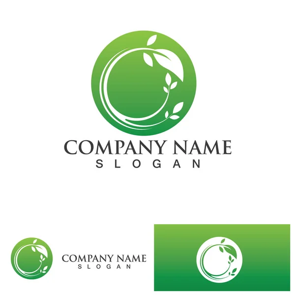 Zielone Logo Liści Wzór Wektora Symbolu — Wektor stockowy