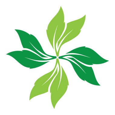 Yaprak yeşili süs tasarımı ve sembol vektör şablonu