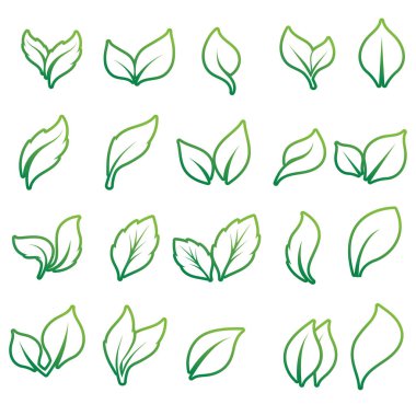 Beyaz arkaplanda yeşil yaprak simgesi