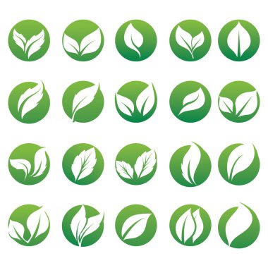 Beyaz arkaplanda yeşil yaprak simgesi