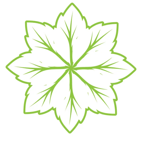 Yaprak Yeşili Süs Tasarımı Sembol Vektör Şablonu — Stok Vektör